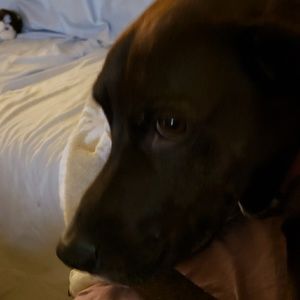 Meet your Posher, Linda